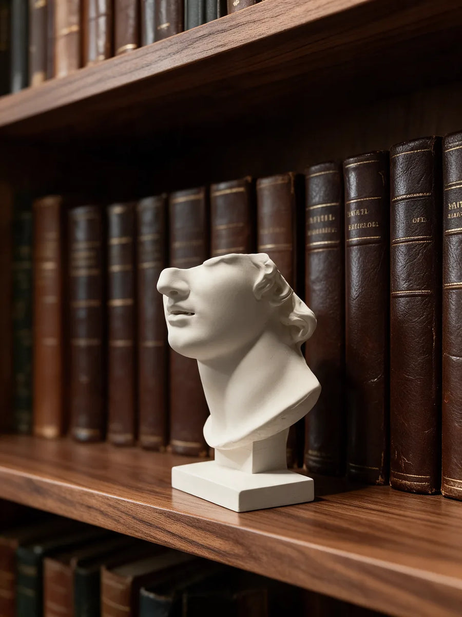 The Spartan: Dans la bibliothèque