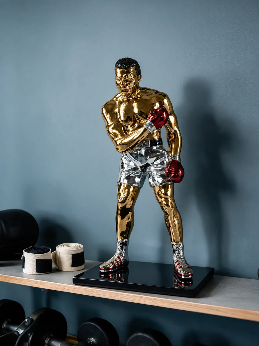 Muhammad Ali 40 cm: Home gym